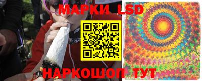 гидропоника Краснокаменск