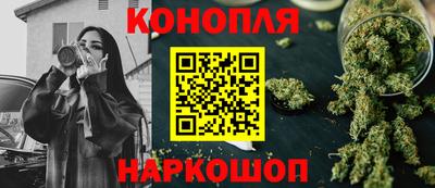 сатива Краснознаменск