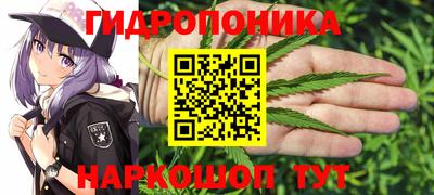 гидропоника Краснокаменск